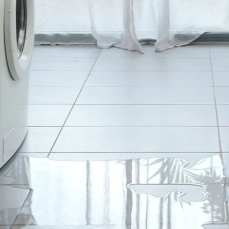 Appliance Leak Cleanup in Pineville, KY