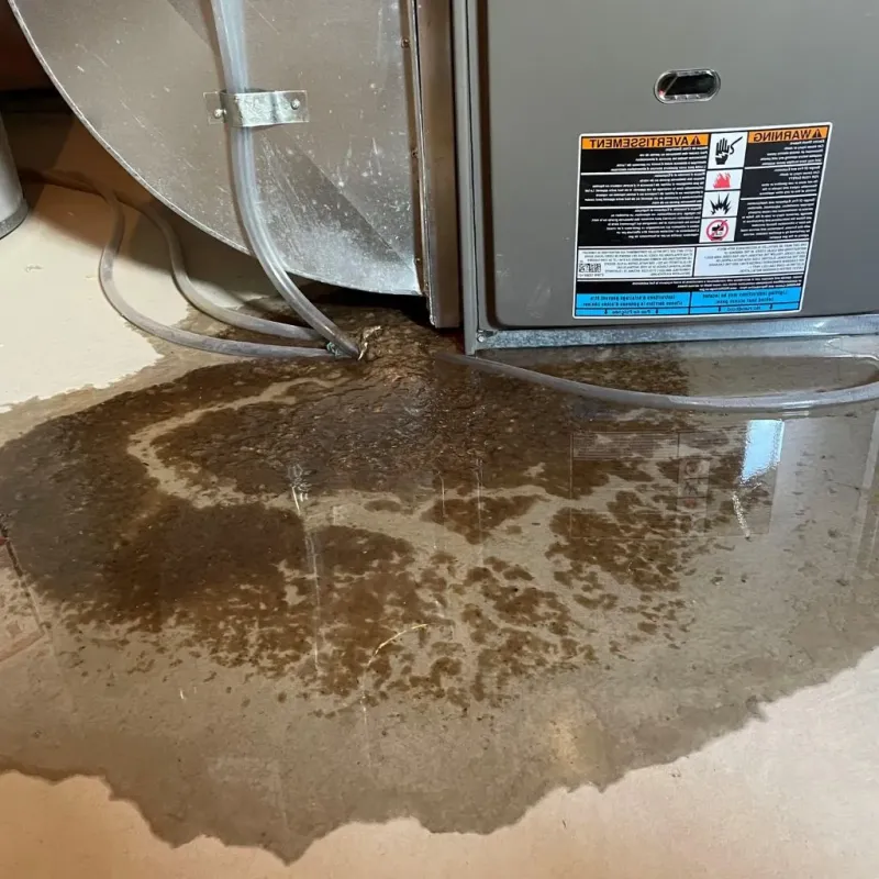 Pipe Burst and Leak Restoration in Pineville, KY